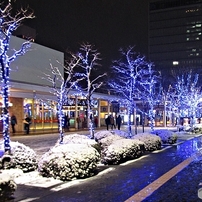 【作例あり】Canon PowerShot SX210 IS Canon PowerShot SX210 IS (Gold) - CNET