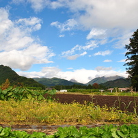 なんとなく「風景」