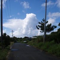 雨上がり