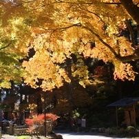 2012年11月の３