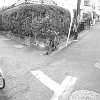 自転車と道