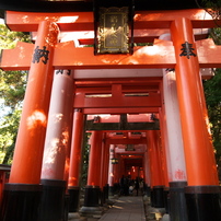 10110313_京都・伏見稲荷