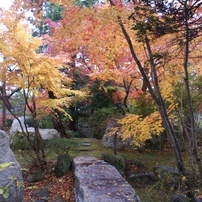 2012年12月
