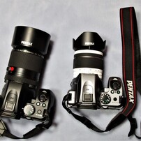 SIGMA(シグマ)のレンズ 18-250mm F3.5-6.3 DC OS HSM (ペンタックス用