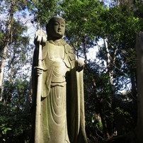 【極美品】PENTAX Optio H90 コンデジ 未使用級　作例あり ミニレビュー】画質は粗い。でも、そこがいい。オールドコンデジPENTAX