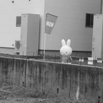 白と黒の世界