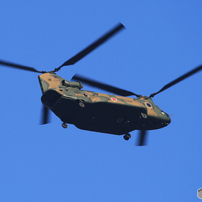 「蒼空」飛んで来た！　陸上自衛隊　チヌーク　CH-47J
