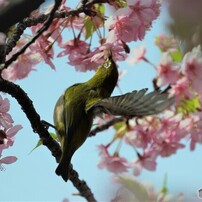 ちっと待って～、、、？？