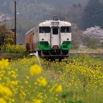 小湊鉄道の春！⑤