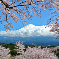 NIKON(ニコン)のレンズ 1 NIKKOR 18.5mm f/1.8 [ホワイト] で撮影した