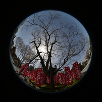 SIGMA(シグマ)のレンズ 4.5mm F2.8 EX DC CIRCULAR FISHEYE HSM (ﾆｺﾝ用