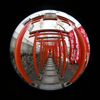 SIGMA(シグマ)のレンズ 4.5mm F2.8 EX DC CIRCULAR FISHEYE HSM (ﾆｺﾝ用