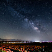 SAMYANG(サムヤン)のレンズ 14mm F2.8 IF ED UMC Aspherical [キヤノン