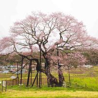 CANON(キヤノン)のレンズ EF17-35mm F2.8L USM で撮影した写真