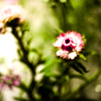 Defocus