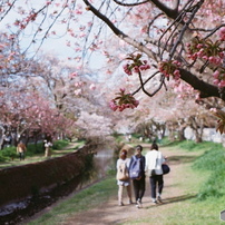 NIKON(ニコン)のフィルムカメラNikomat FT で撮影した写真(画像)一覧
