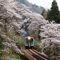 桜トンネル通過！①