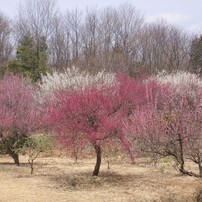 2013年03月