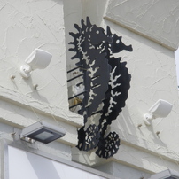 OLYMPUS(オリンパス)のデジタルカメラFE5010,X915 で撮影した写真(画像