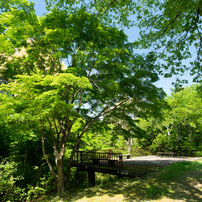 2022年5月3日（火）～5日（木）長野公園天野山地区2of3