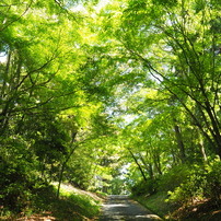 2022年5月3日（火）～5日（木）長野公園天野山地区3of3