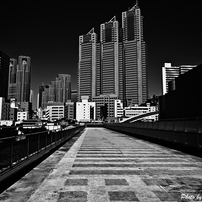 Monochrome Tokyo