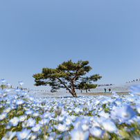 CANON(キヤノン)のレンズ EF14mm F2.8L II USM で撮影した写真