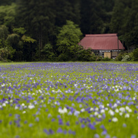 CANON(キヤノン)のレンズ TS-E45mm F2.8 で撮影した写真(画像)一覧
