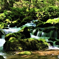 緑の渓流