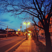 路上の視野