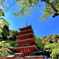 20220503長谷寺