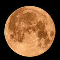 t*y様 作例付き　カールツァイス　300mm F4 MMJ 管mpr CONT KYOCERA(京セラ)のレンズ Carl Zeiss Teletessar T* 300mm F4