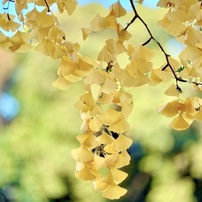 2021/11月の大泉緑地公園