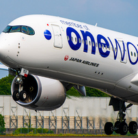 NIKON(ニコン)のレンズ AF-S NIKKOR 200-400mm f/4G ED VR II で撮影