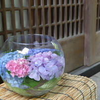 水中花