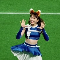 北海道日本ハムファイターズ