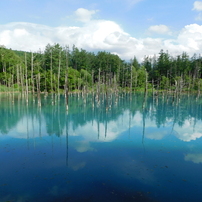 北海道美瑛町～青い池０６