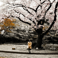 SIGMA(シグマ)のレンズ 19mm F2.8 EX DN [ソニー用] で撮影した写真