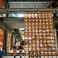 20220706嵐山風情