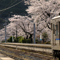 伯備線撮影行 (2011.04.09)