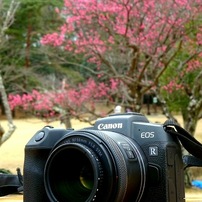 SONY(ソニー)のデジタルカメラサイバーショット DSC-WX350 で