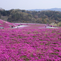 2013年04月の３