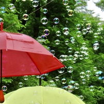 CANON(キヤノン)のデジタルカメラPowerShot SX610 HS で撮影した写真