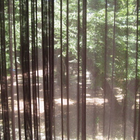 CANON(キヤノン)のデジタルカメラIXY DIGITAL 700 で撮影した写真(画像