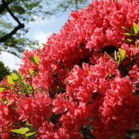 2013年04月の４