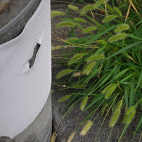 ペンタックス　Optio P80 デジカメ　緑　黄緑　人気色 ペンタックス Optio P80 デジカメ 緑 黄緑 人気色 - メルカリ