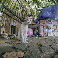 SAMYANG(サムヤン)のレンズ 8mm F2.8 UMC FISH-EYE II ブラック [フジ
