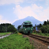 湯布院の森