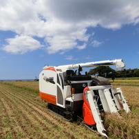 CASIO(カシオ)のデジタルカメラHIGH SPEED EXILIM EX-ZR4100 で撮影