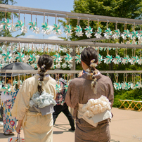 川越氷川神社